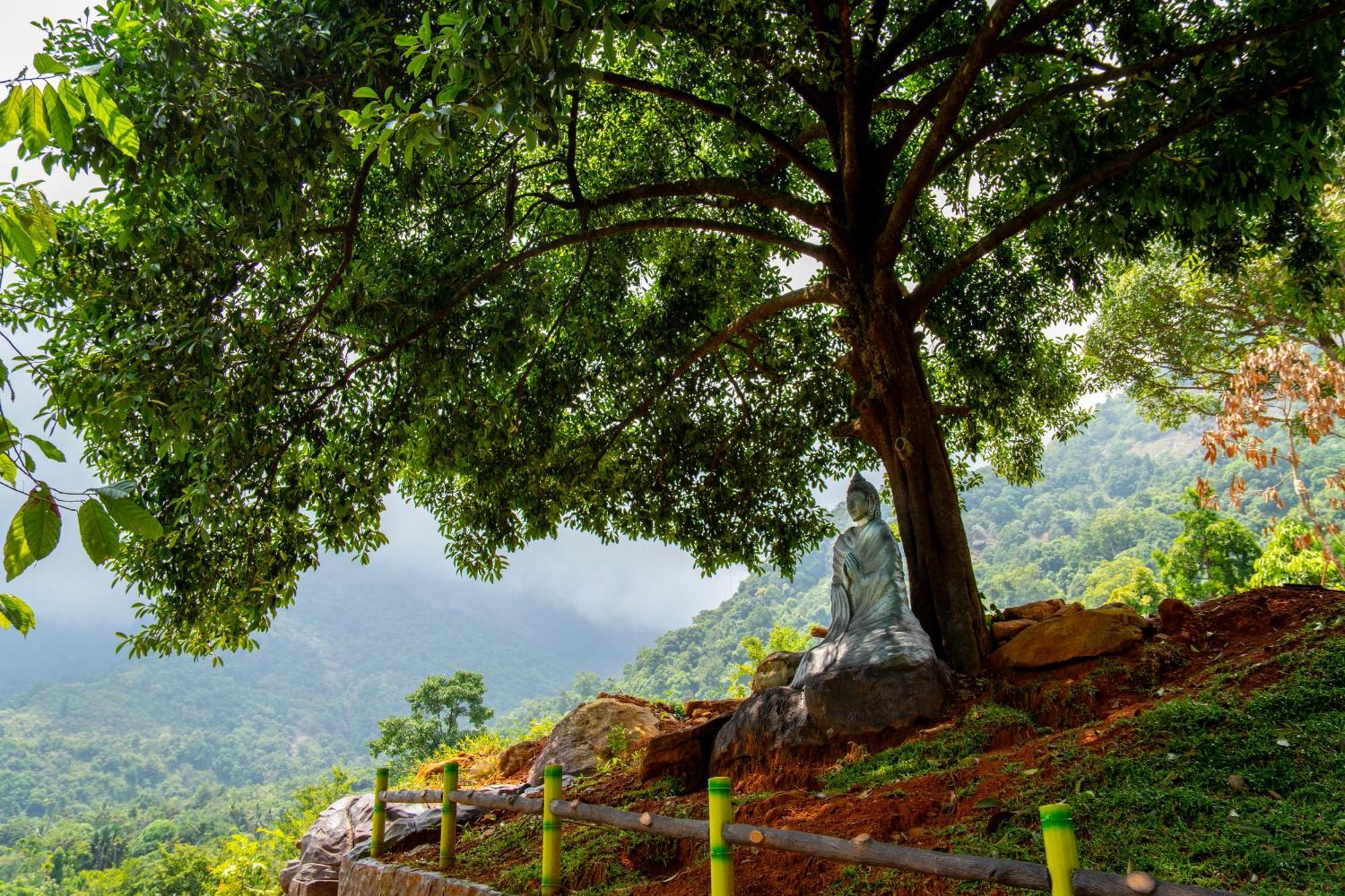 Karimb Resorts Vallikavungal Esterno foto